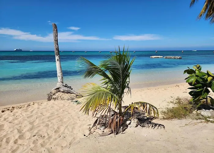 Hotel Blue Fins - A Sky Harbour Oceanfront Twin Montego Bay
